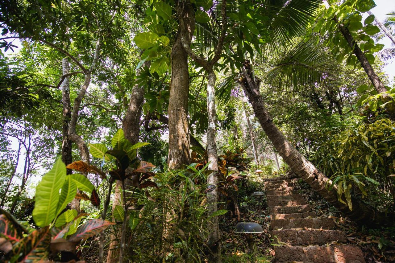 Hôtel Casa Susegad à Madgaon Extérieur photo